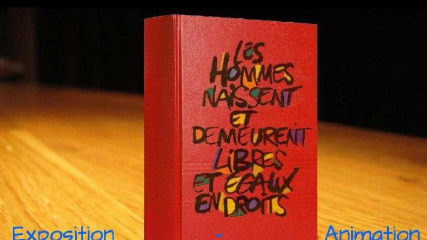 Les Droits de l&rsquo;Homme, un Devoir pour Tous