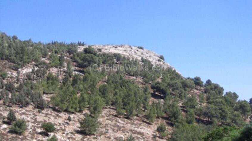 Israël : Un nouveau centre pour valoriser Nazareth