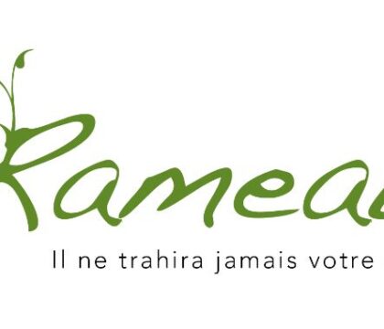 Dimanche 17 avril: Dimanche des Rameaux (Journée Mondiale de la Jeunesse)