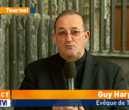 Les réactions aux interviews de Roger Vangheluwe