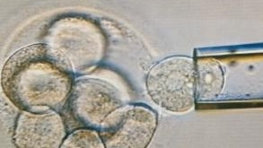 Bioéthique : l&rsquo;enfant a le droit de connaître ses origines biologiques