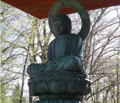 8 mai: Journée du Bouddhisme à Mariemont