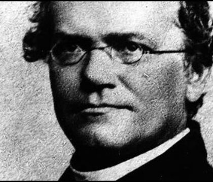 Le 189ème anniversaire du moine Gregor Mendel fêté par Google !