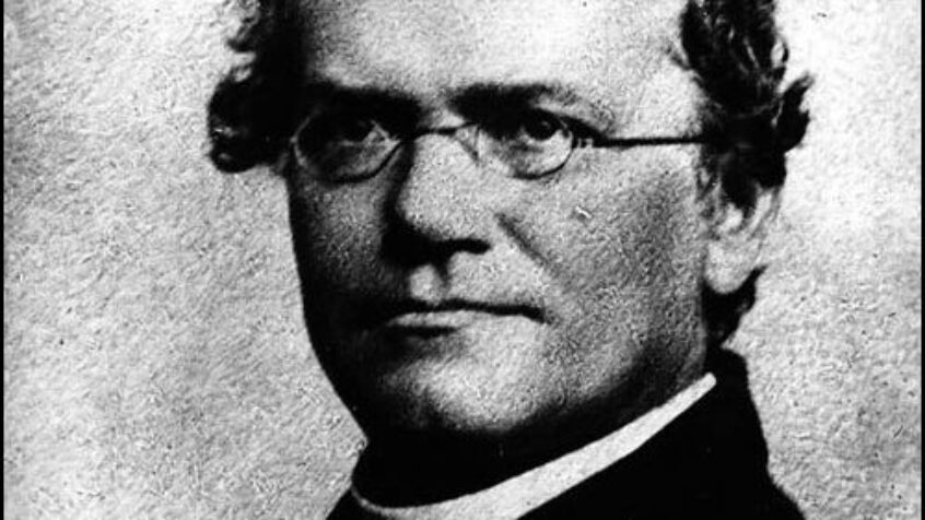Le 189ème anniversaire du moine Gregor Mendel fêté par Google !