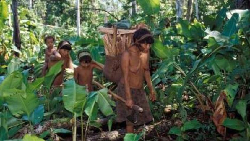 Synode pour l&rsquo;église en Amazonie