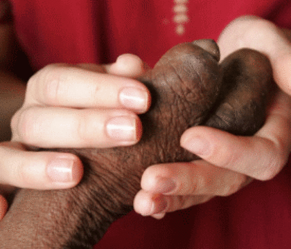 En Inde, un catholique se fait tabasser en voulant aider des lépreux