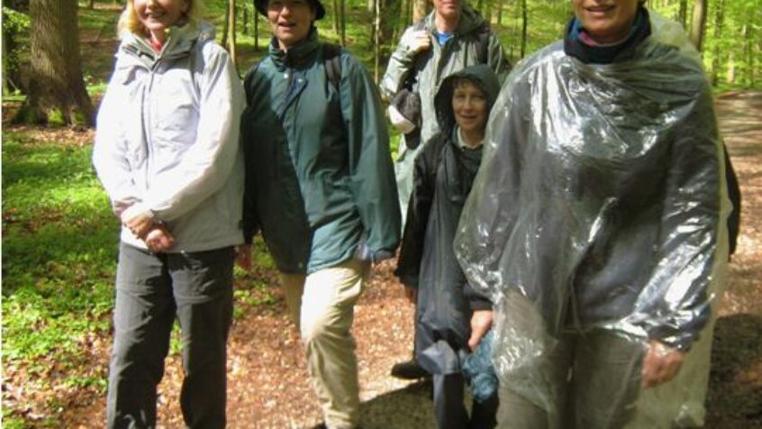 Marcher et prier en forêt de Soignes