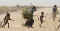 famine_1212