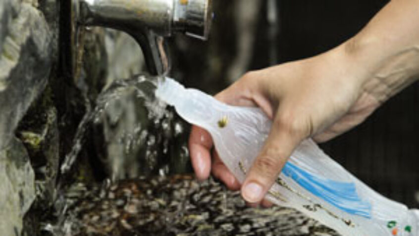 L&rsquo;eau de Lourdes a encore frappé !