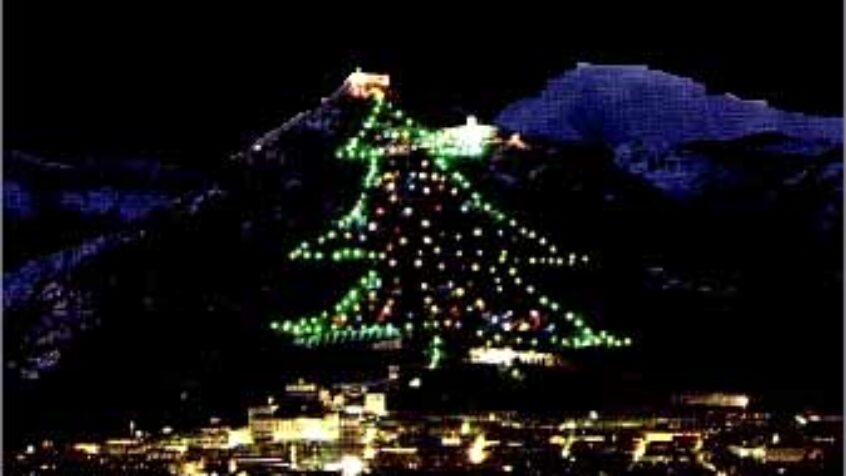 Un sapin rayonnant de lumière et d&rsquo;amour