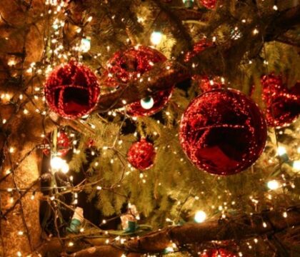 Au cœur du marché de Noël de Namur