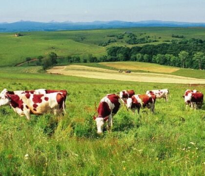 La simplicité volontaire, pourquoi faire?