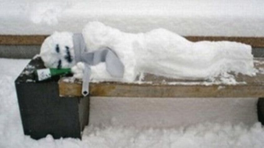 Vous avez froid? Eux aussi!