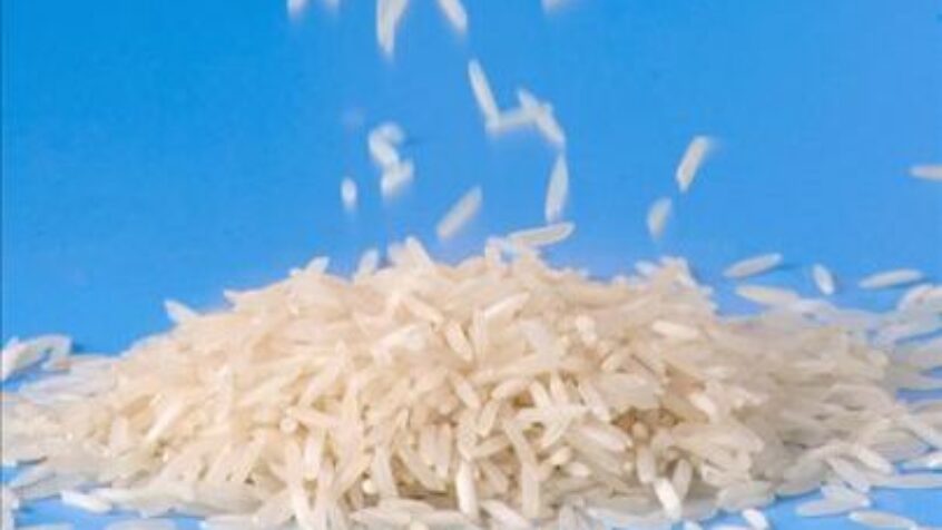 Freerice, un jeu qui sauve !