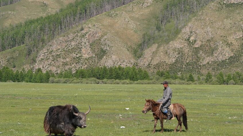 Abolition de la peine de mort en Mongolie !