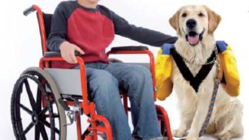 Handicap, dépendance, vieillissement: quelles autonomies?