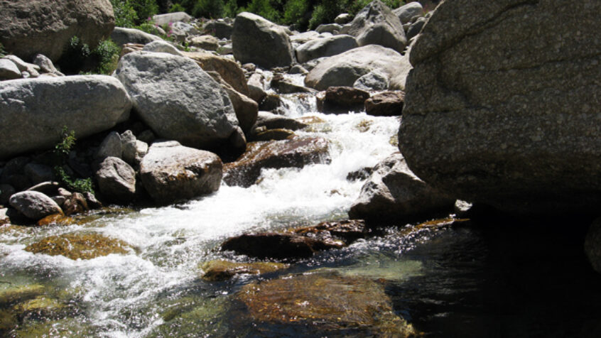L&rsquo;eau, bien commun pour la vie