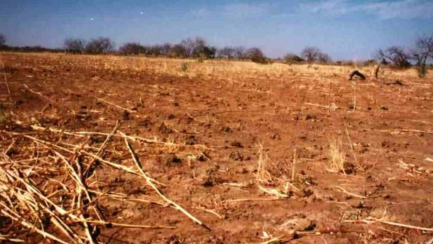 2 millions de dollars d’aide pour le Sahel