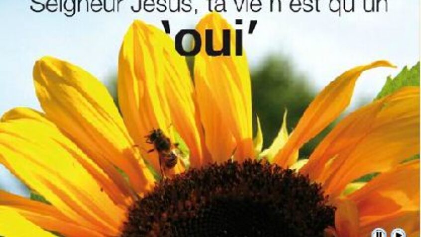 Vocations et Sacerdoce fêtés le 29 avril à Rome