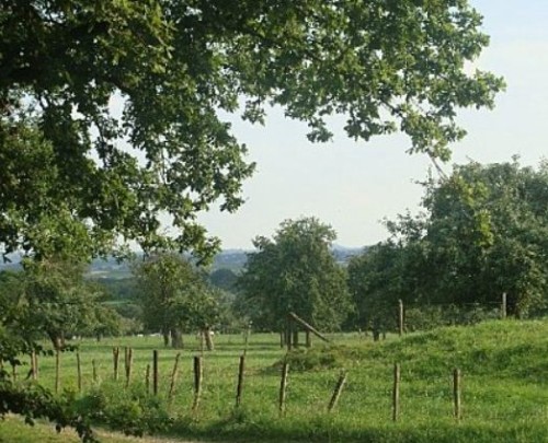 paysage