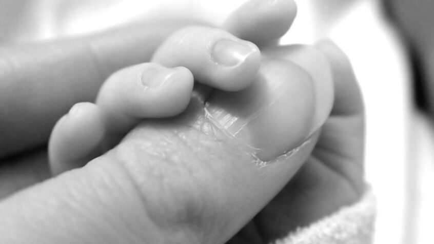 Un nouvel abandonné dans la Boite à bébés d&rsquo;Anvers