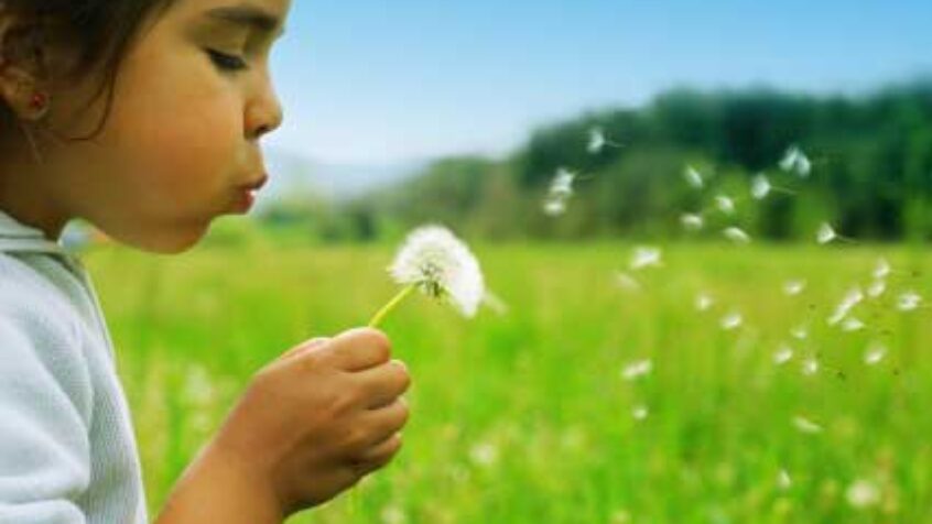 Protéger l&rsquo;enfance, une priorité pour l&rsquo;Eglise