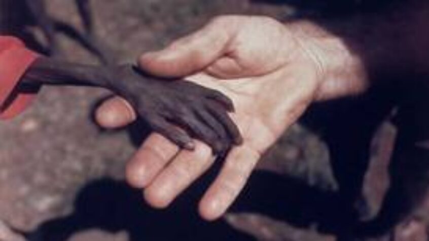Un million d&rsquo;enfants souffrent de malnutrition au Sahel !