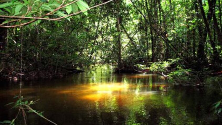 L&rsquo;Amazonie, terre d&rsquo;injustices
