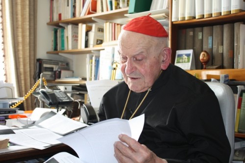 Cardinal Juliens Ries