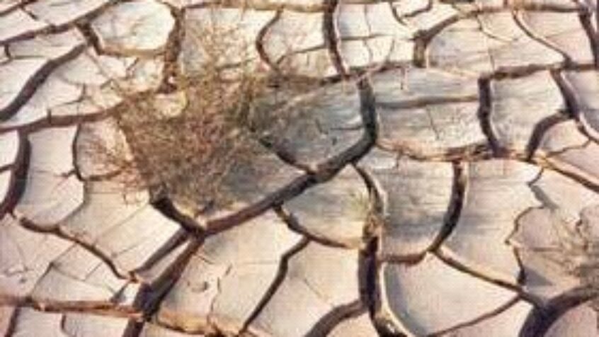 Nouvel appel de fonds pressant pour le Sahel