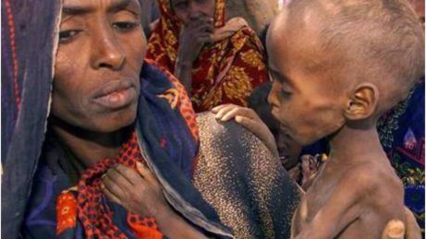 Selon la FAO, le monde compte près de 870 millions d’affamés !