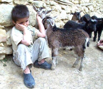 Les enfants, ces victimes impuissantes…