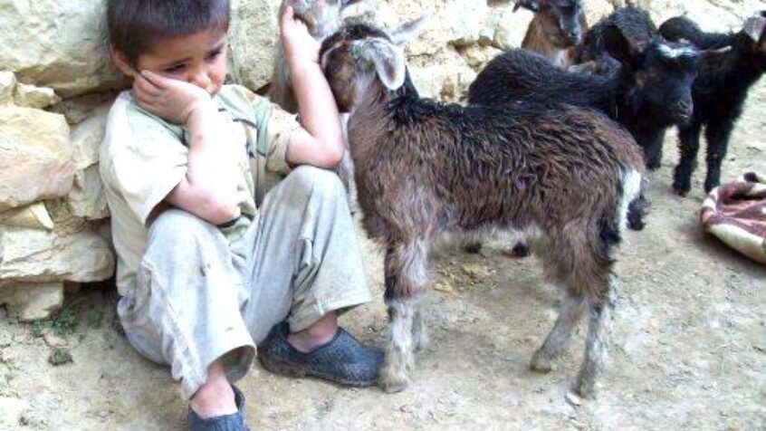 Les enfants, ces victimes impuissantes…