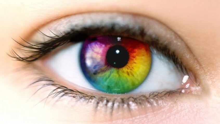 «Arc-en-Ciel», l’émission qui donne des couleurs