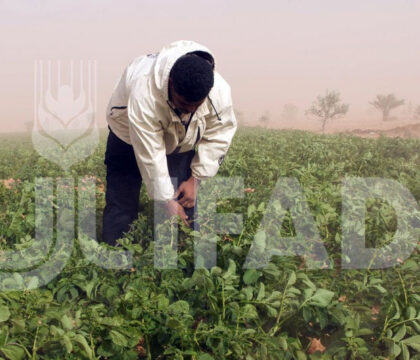 Soutenir le monde agricole