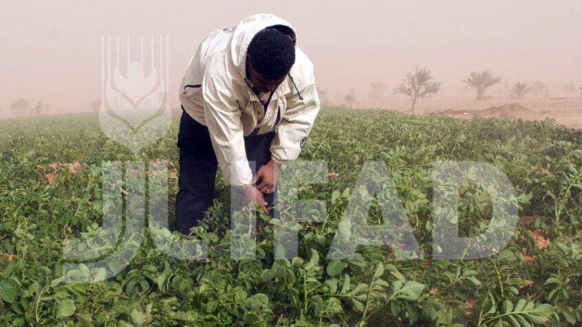 Soutenir le monde agricole