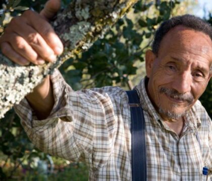 Pierre Rabhi, l&rsquo;apôtre de l&rsquo;agroécologie