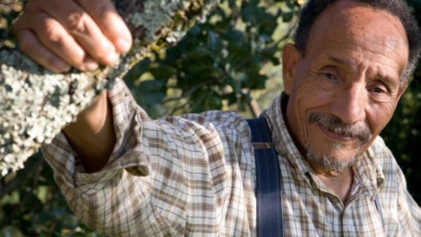 Pierre Rabhi, l&rsquo;apôtre de l&rsquo;agroécologie