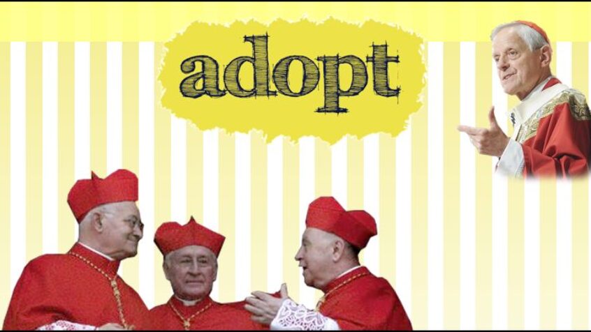 Adoptez un cardinal