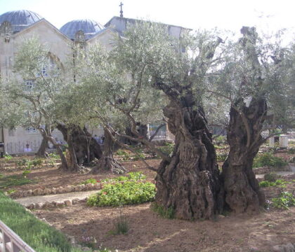 Semaine sainte au Proche-Orient