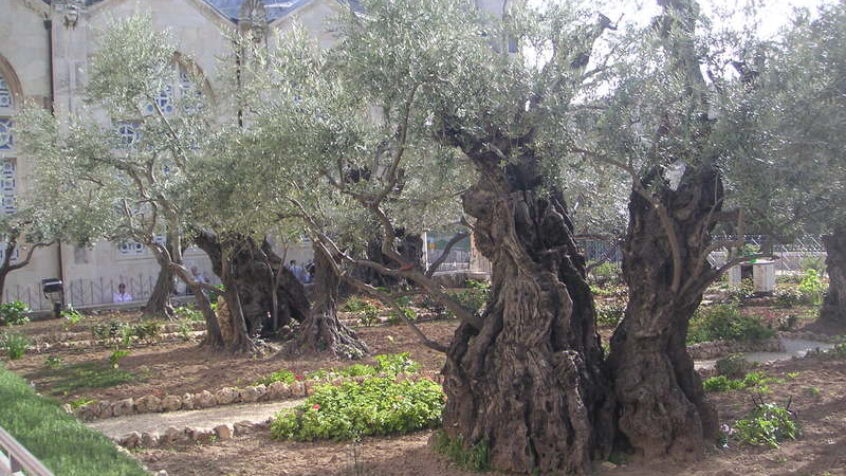 Semaine sainte au Proche-Orient