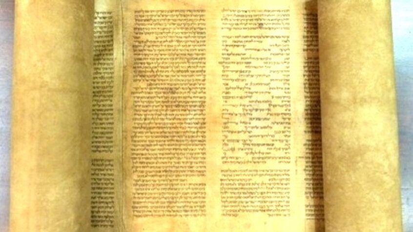 La plus vieille Torah du monde est bolognaise…