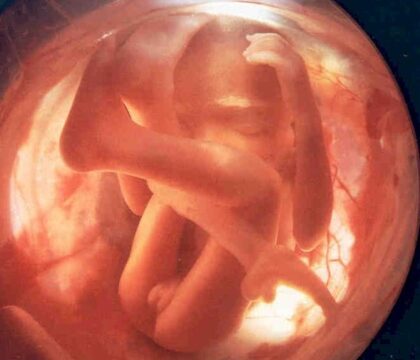 Vers une reconnaissance officielle des fœtus nés sans vie