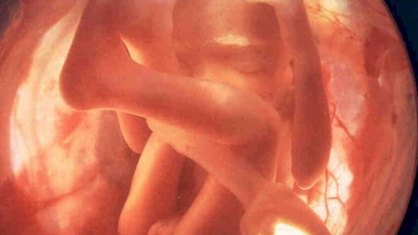 Vers une reconnaissance officielle des fœtus nés sans vie