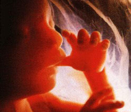 Avortement tardif : des médecins réagissent