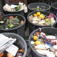 Gaspillage alimentaire 1