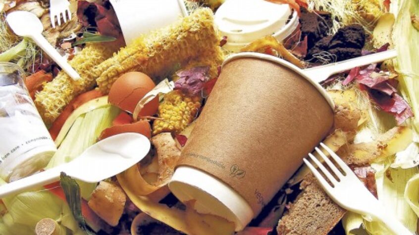 Gaspillage alimentaire mondial : un vrai scandale !