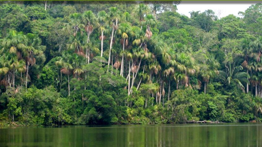 L&rsquo;Eglise se mobilise pour l&rsquo;Amazonie