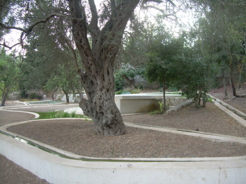mémorial du cardinal Lustiger à Abu Gosh (c) mcbf