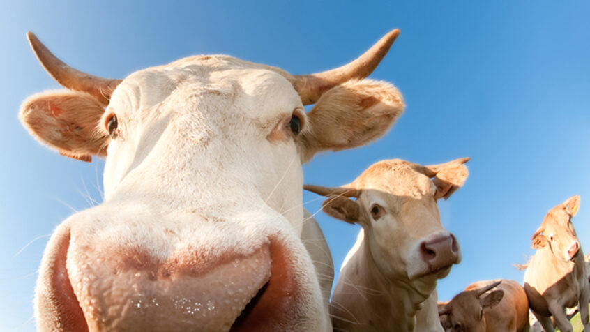 RADIO – Il était une foi… le droit à l&rsquo;alimentation